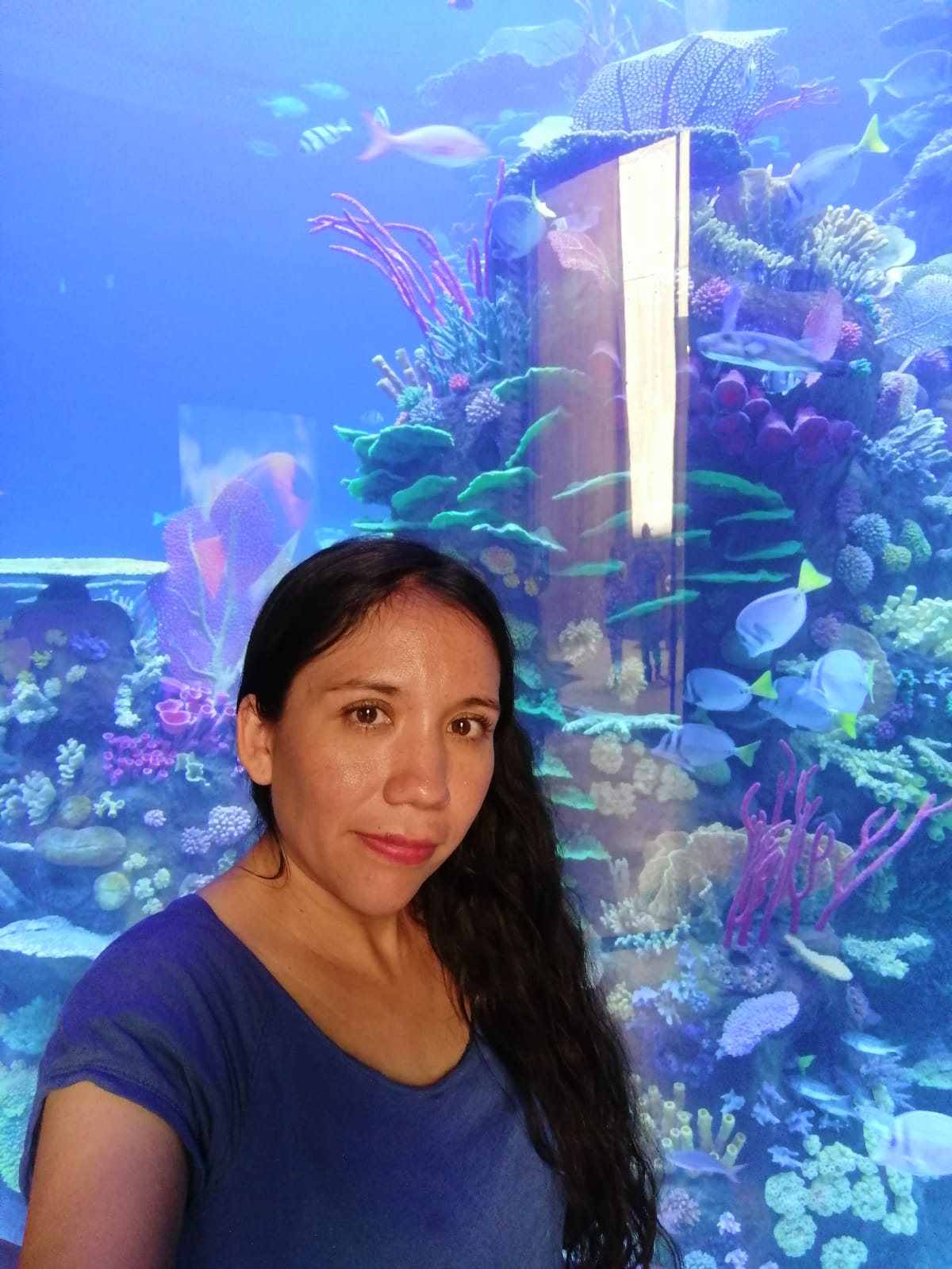 Ariadne Cepeda